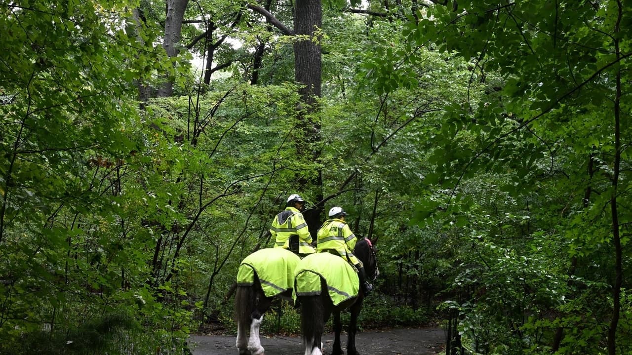 Port Jefferson man dies after cyclist collision