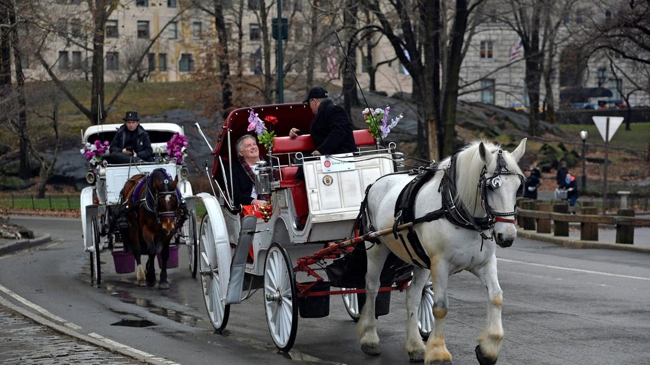 NYC closes in on horse carriage ban