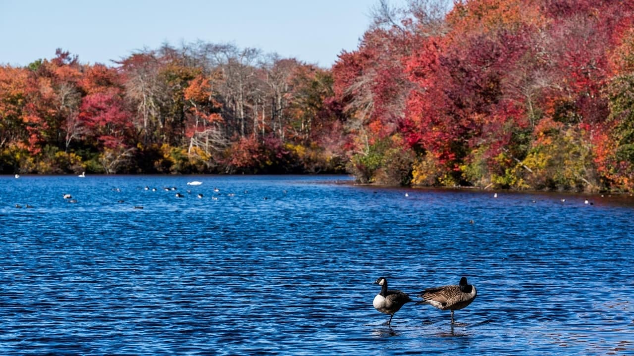 Long Island to see winds rain and cooler weekend