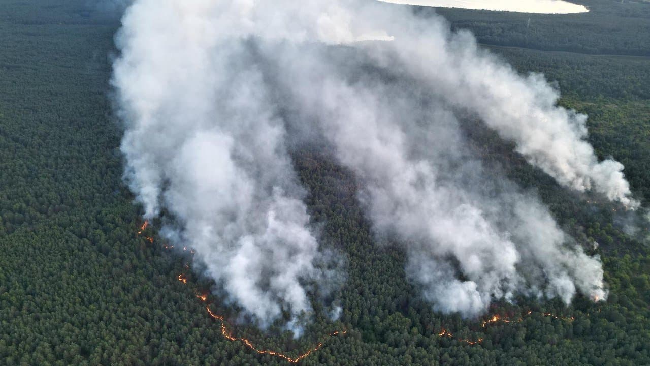 German firefighters contain 388-hectare forest fire