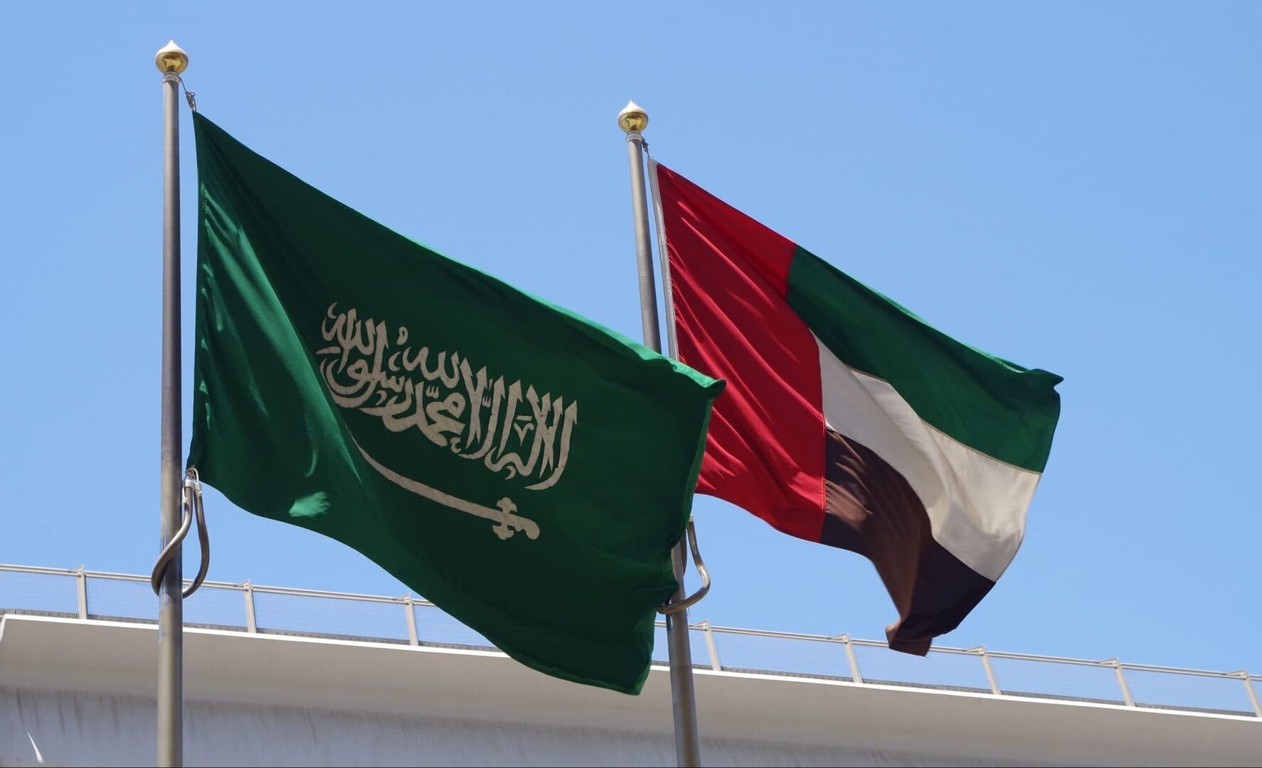 مسؤولون سعوديون وإماراتيون يؤكدون قوة علاقاتهما