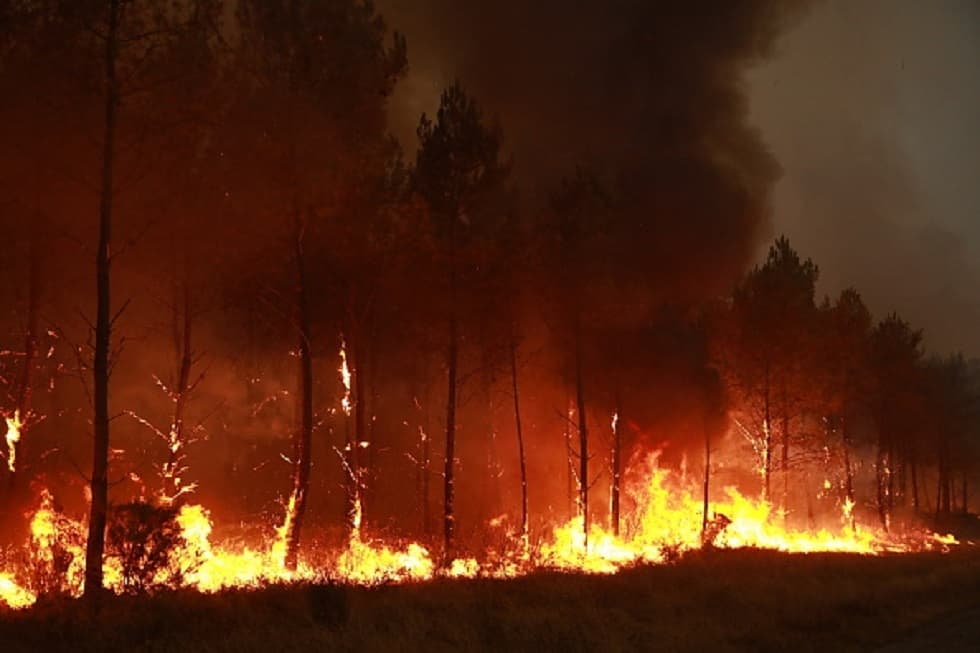 France reports over 300 forest fire detainees