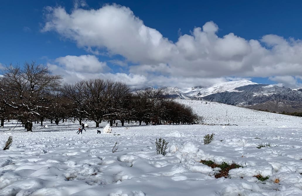 Heavy Snowfall in South Africa