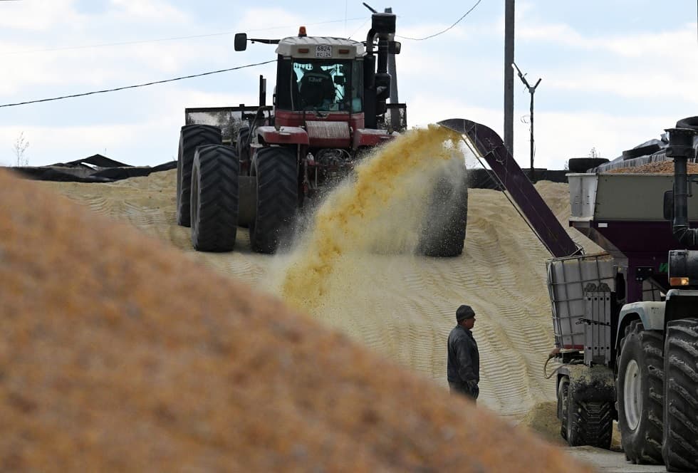 Latvia and Lithuania consider halting Russian grain transit