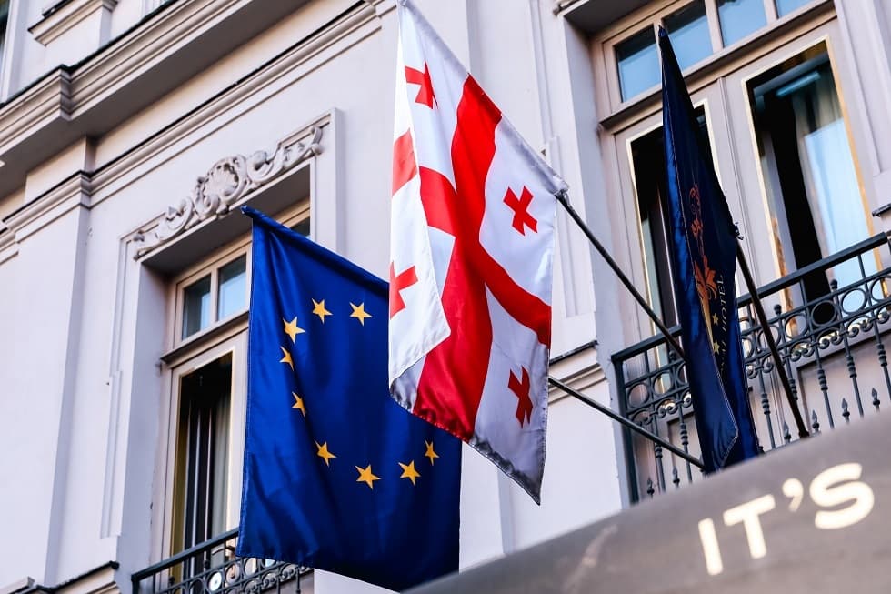 Georgia to probe Tbilisi Political School over illicit grant