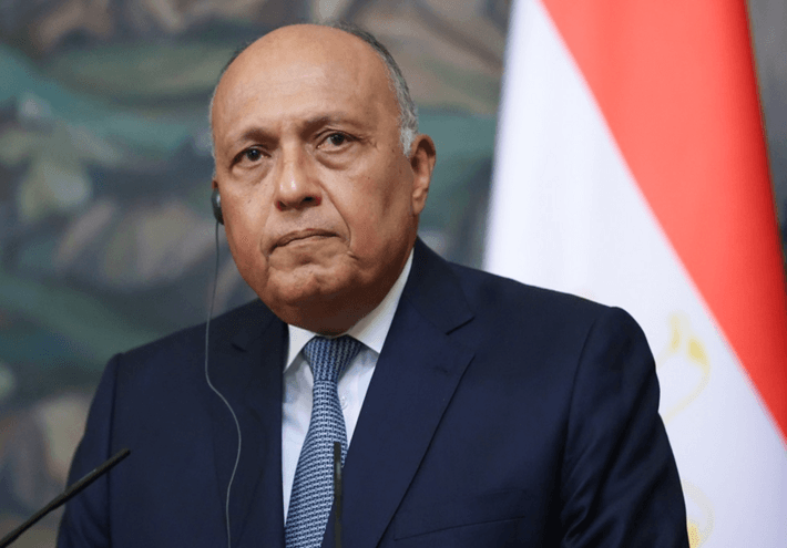Egyptian Foreign Minister on Israel Peace Threat