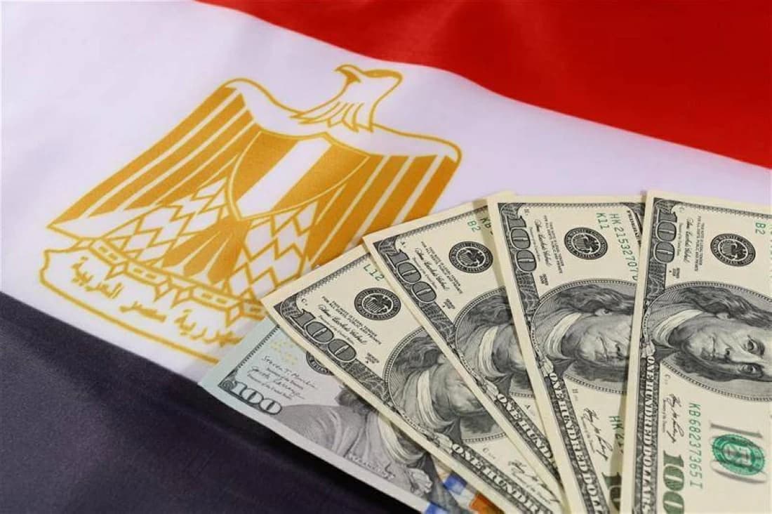 Breaking News: Egyptians Abroad Sends $43.1 Billion in Transfer Income Over 11 Months