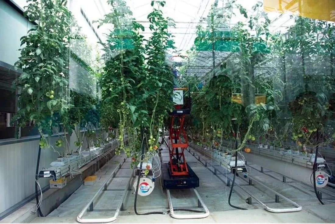 SABIC Agricultural Nutrients Profit Falls 64% in Q2 2026