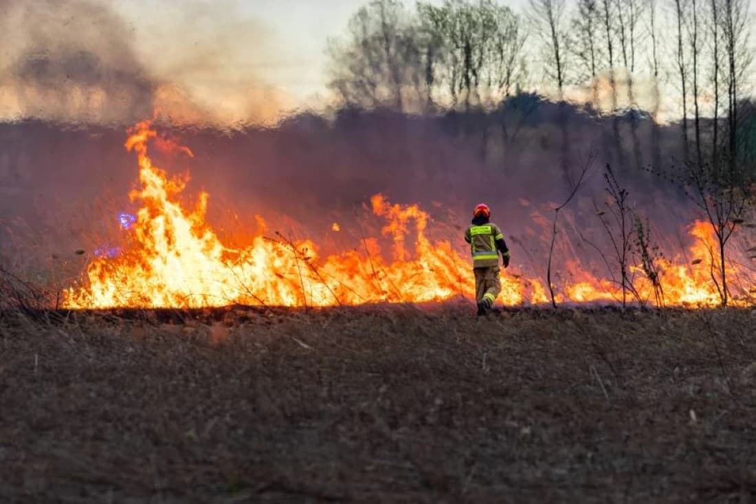 Southern Europe faces 70% rise in fires
