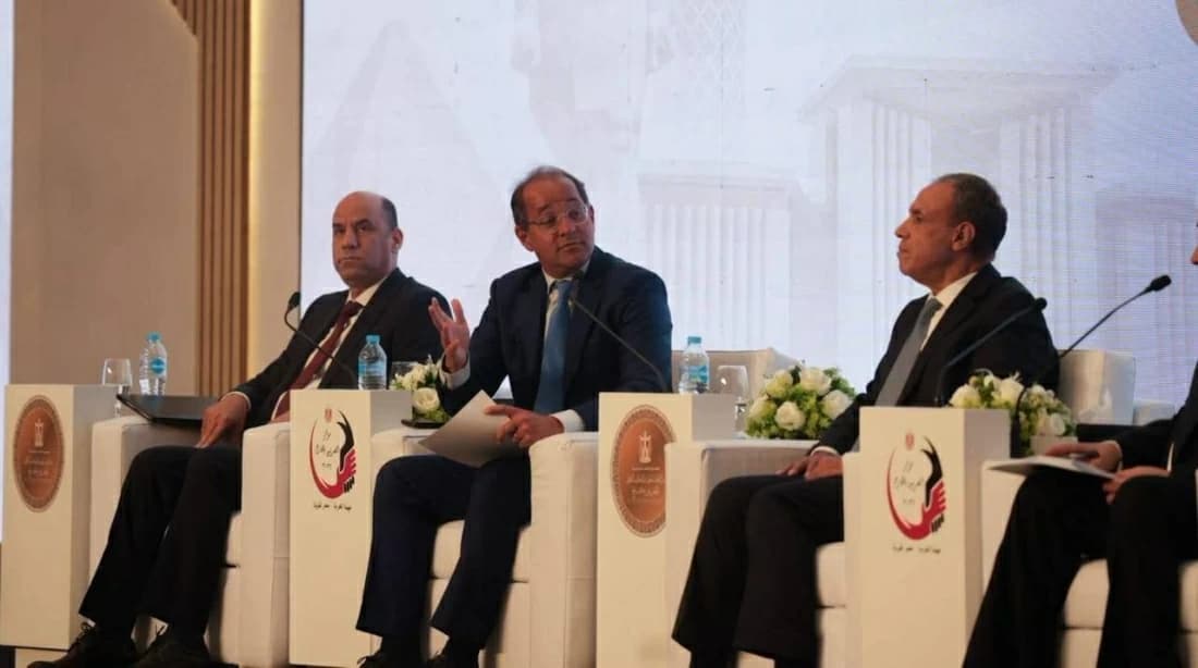 Egypt to launch expatriate investment fund next year