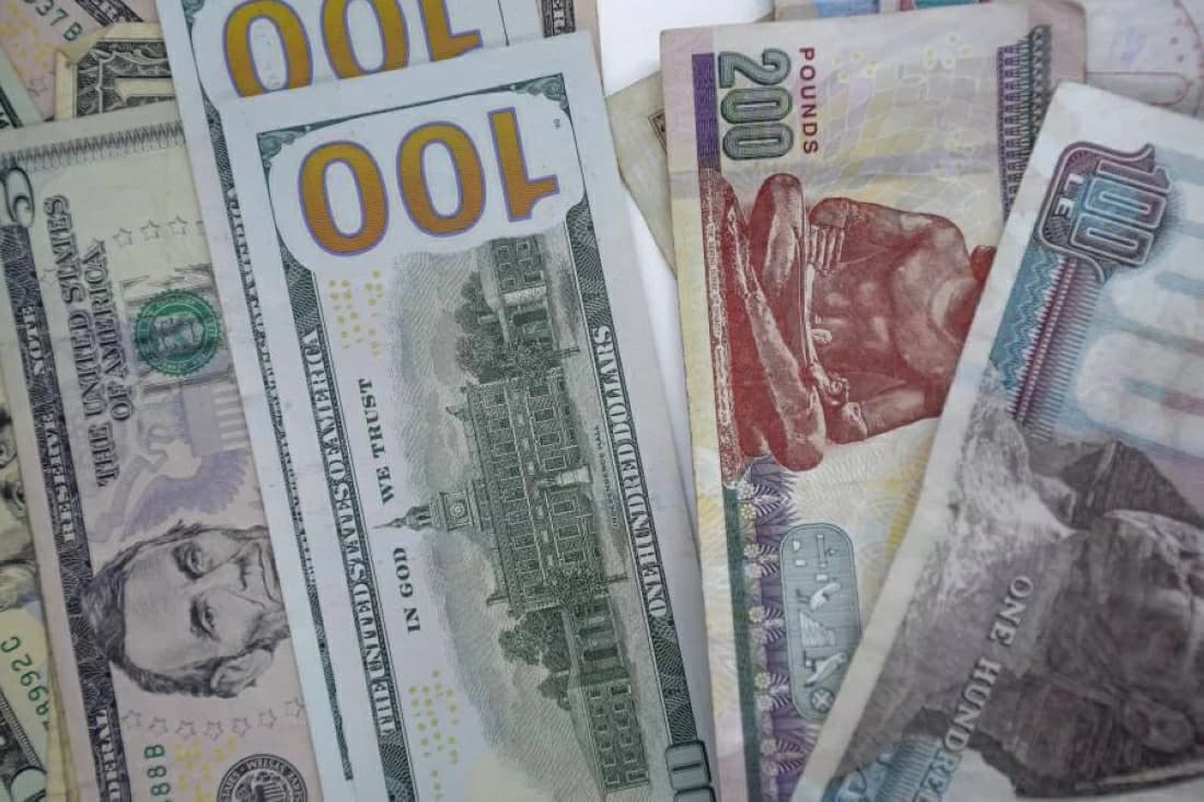 Egyptian dollar rate and stable pound