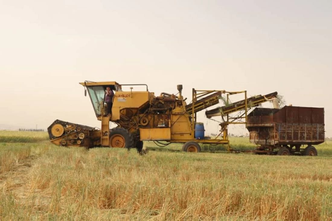 Wheat prices hit weekly high
