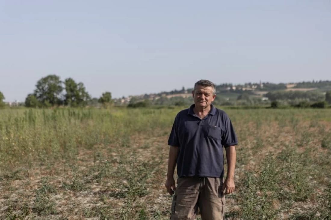 Italy faces rice crop losses due to drought
