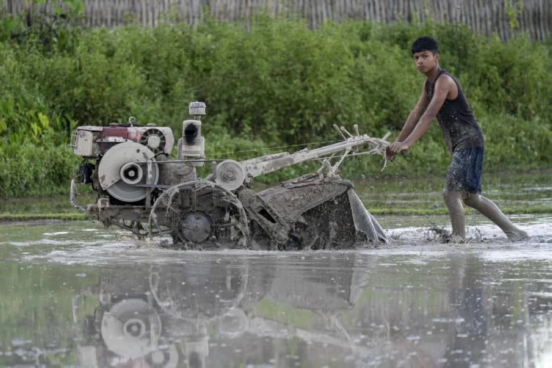 El Niño's shift to reassuring grain supplies
