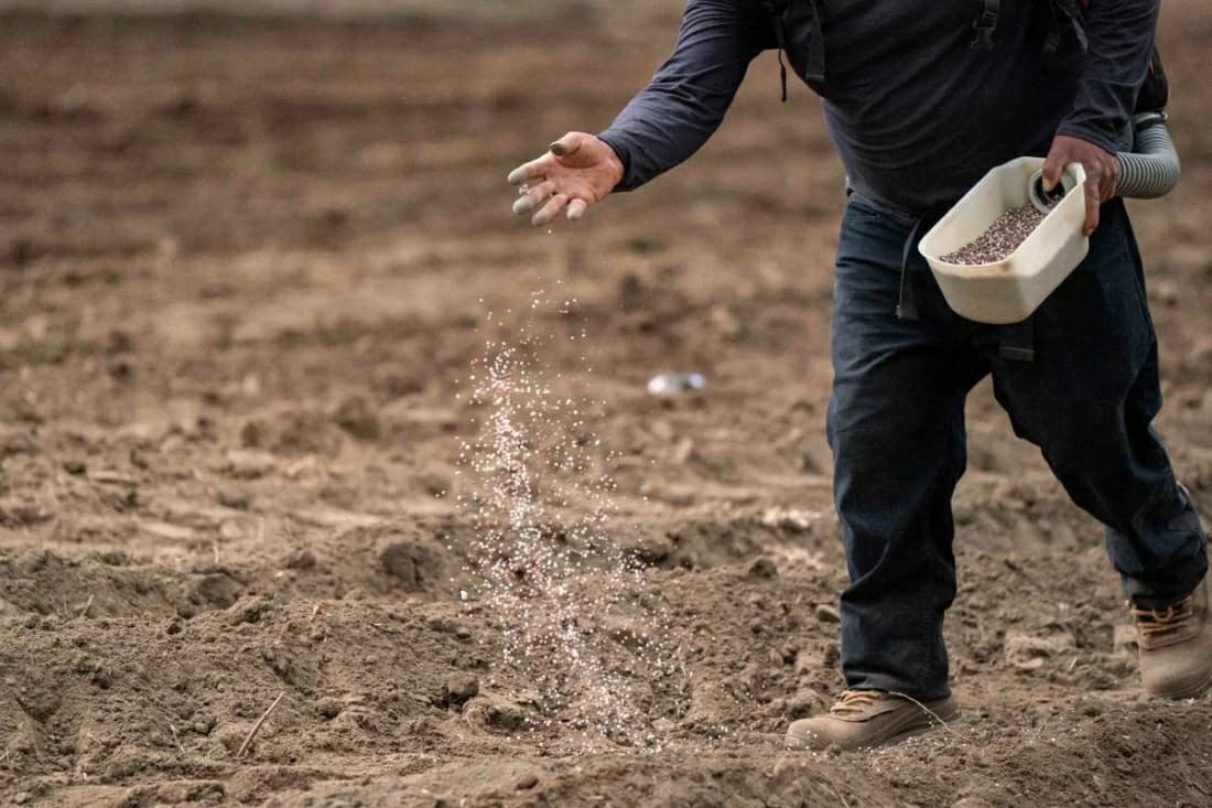 Egypt fertilizer firms profit amid Middle East crisis