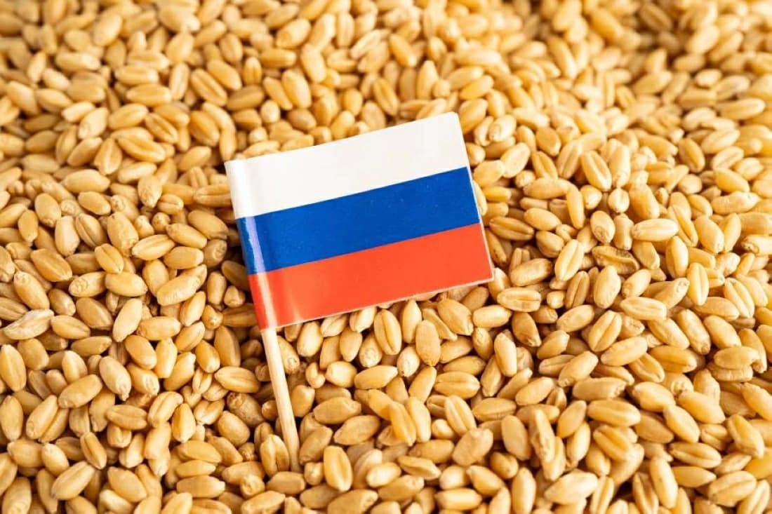 Russia suspends grain export duties until 2026