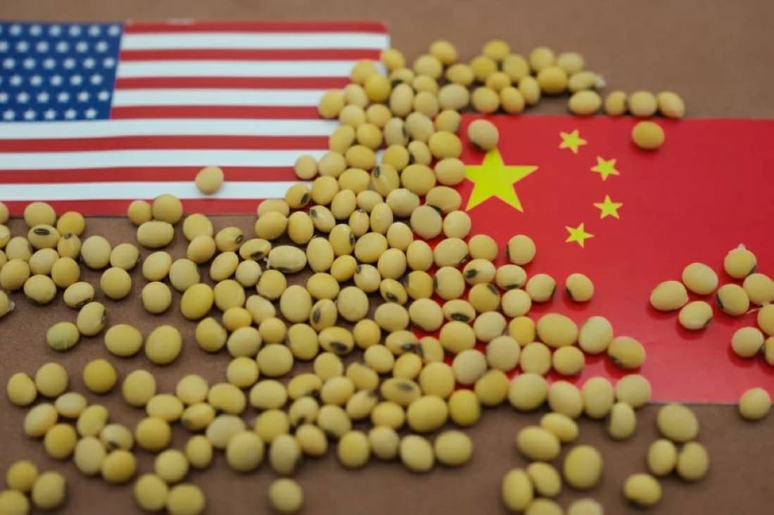 China's US soybean imports fall 12%