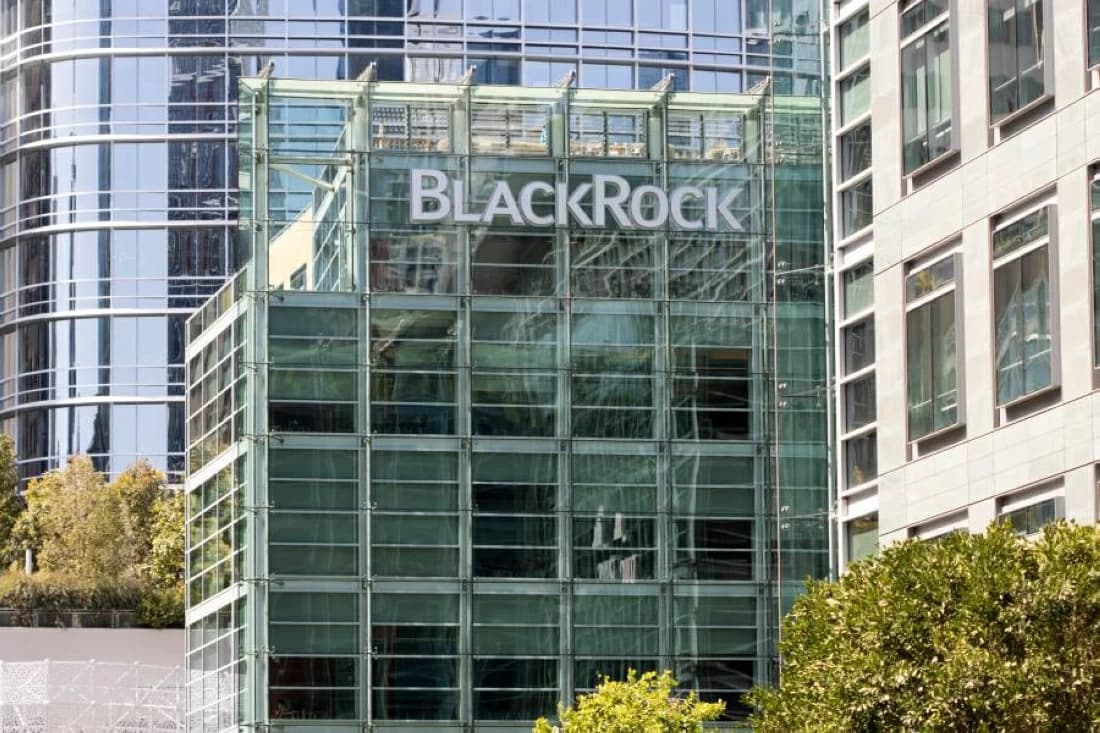 BlackRock Highlights UAE Economic Stability