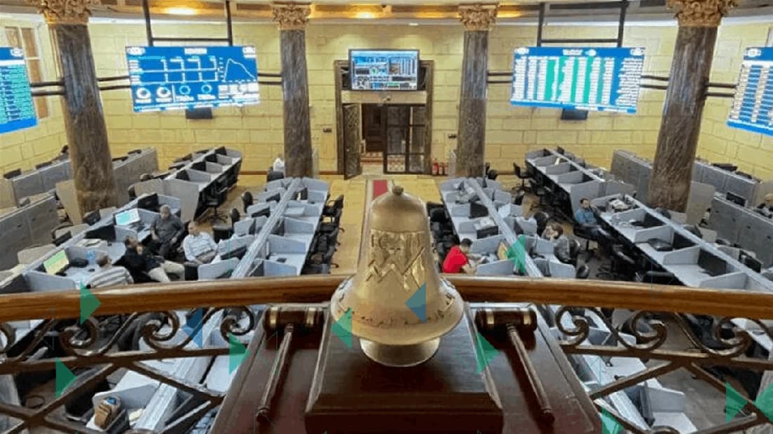 Egyptian Exchange Vice Chairman on market swings