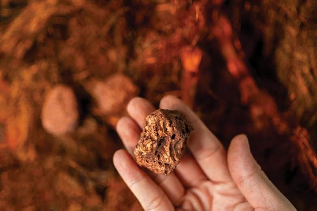 Copper prices hit three-week high amid supply worries