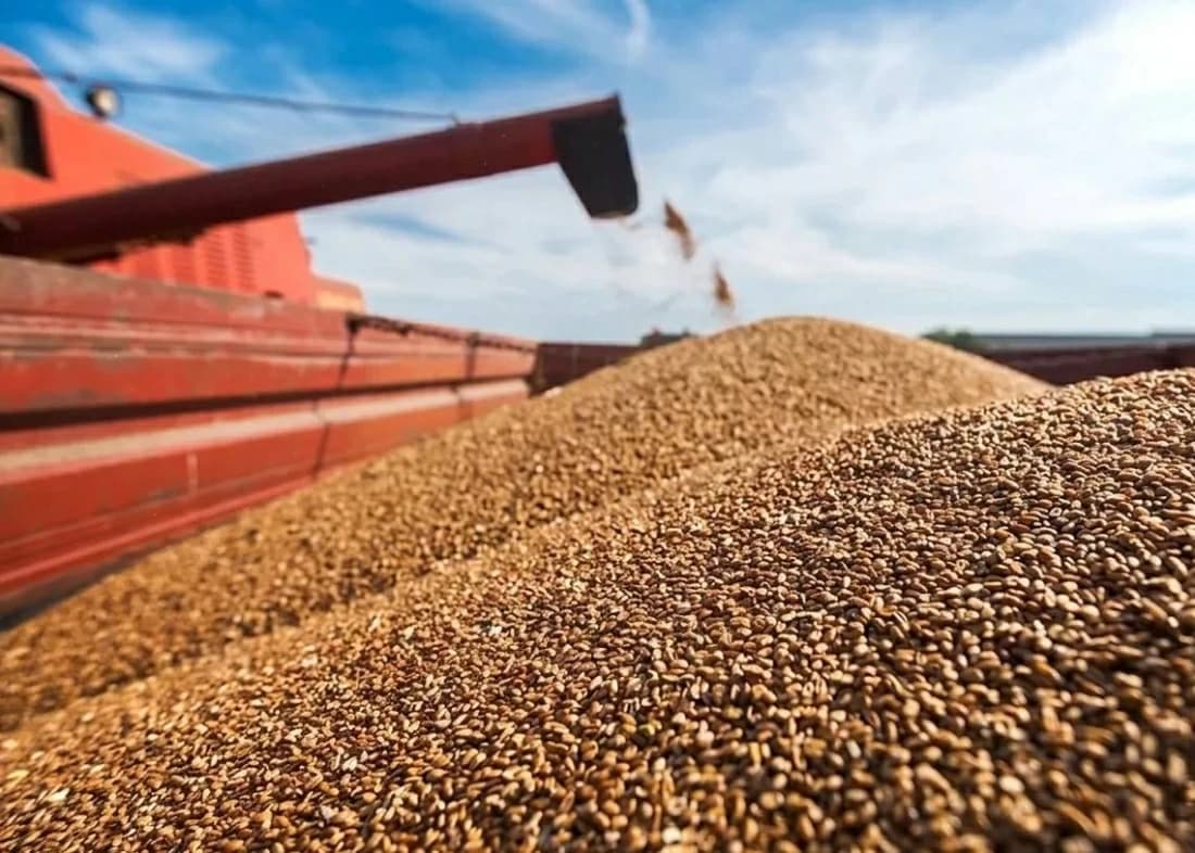 Wheat Prices Near Longest Decline Since 1997