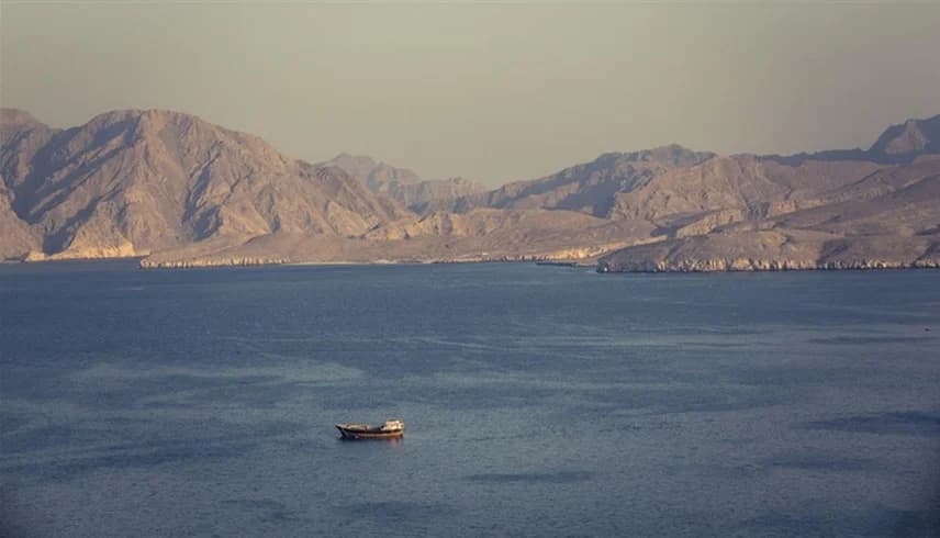 Iran open to European role in Hormuz mine removal