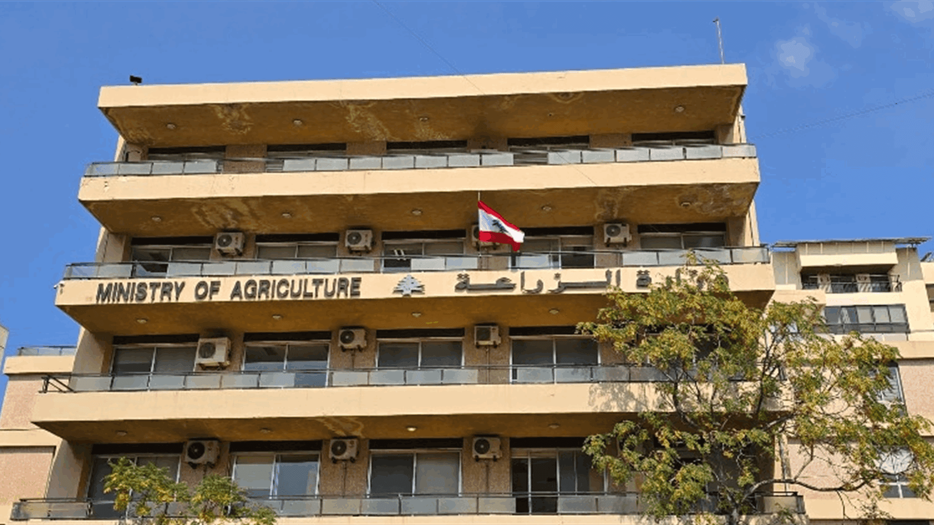 Agriculture Ministry Starts Unified Desk