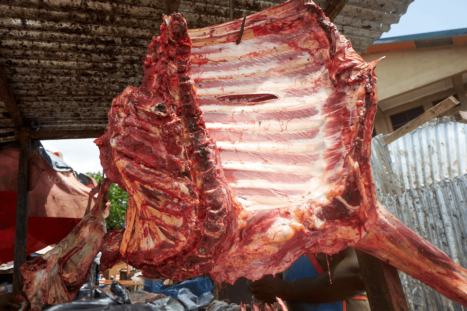 Chicken plant and butcher shop closed causing dairy spoilage