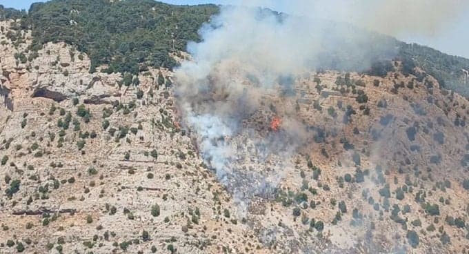 حريق يتوسع وأهالي تنورين يطالبون الجيش