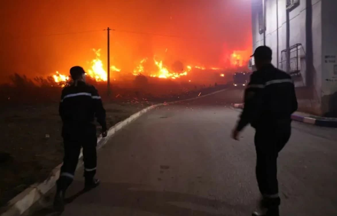 Tubon hints at possible criminal involvement in northern Algeria fires
