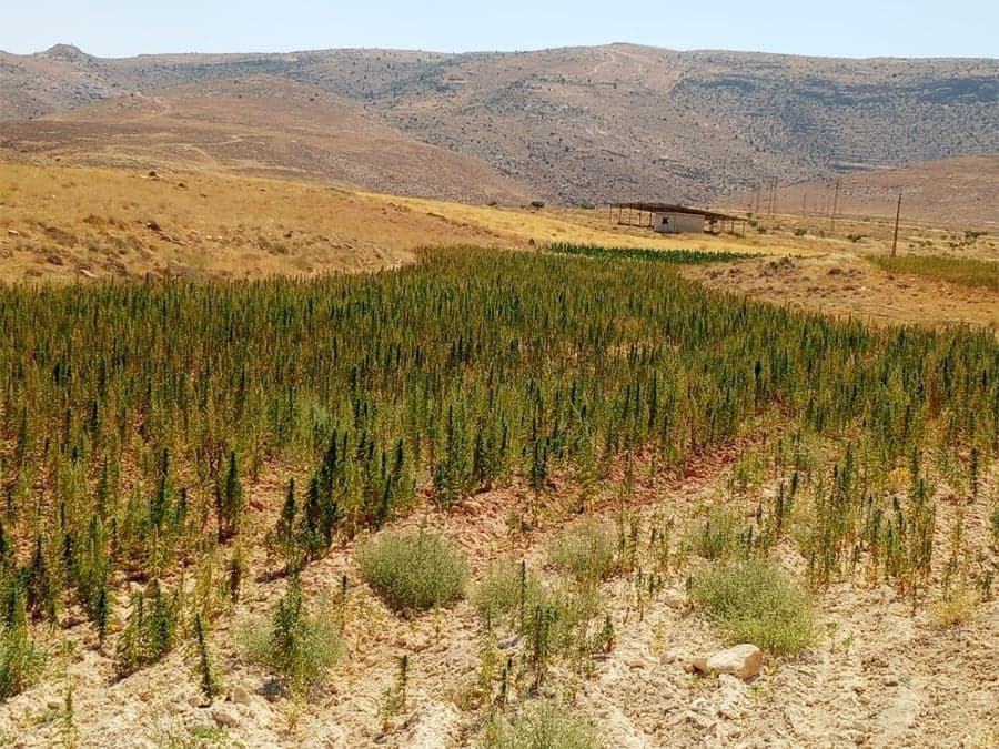 Army uncovers arms cache and destroys hashish field