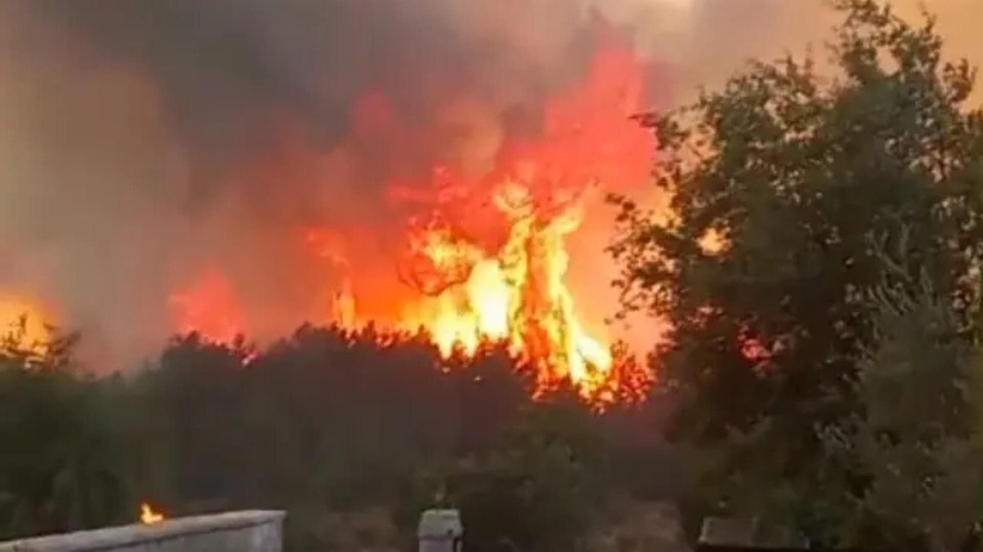 Fire engulfs Batma Al-Shouf forests