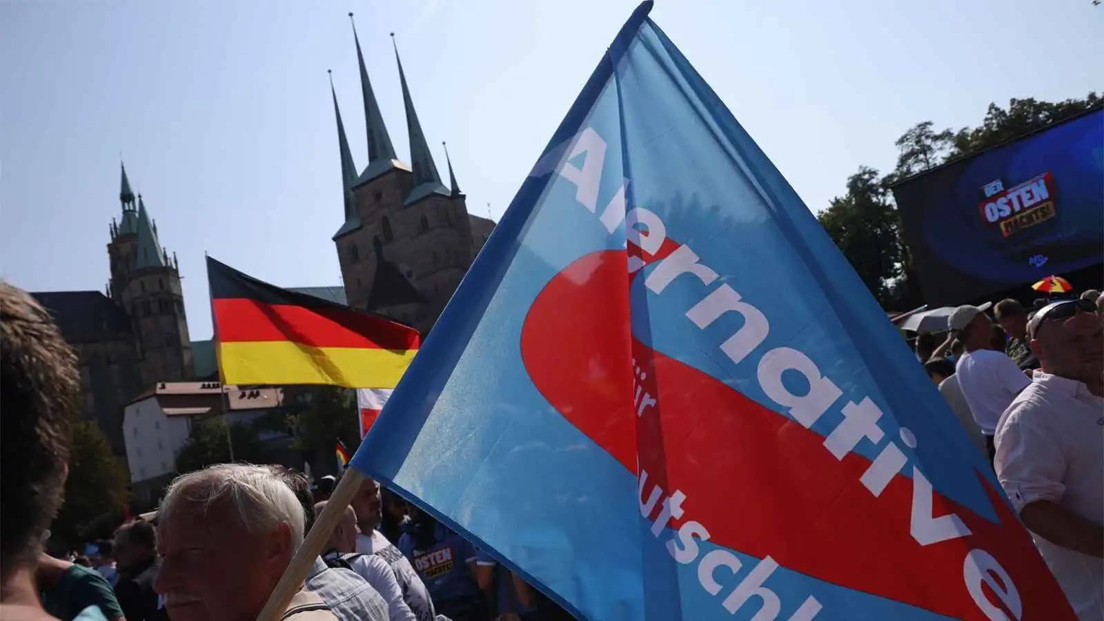 Protests Rise Over Alternative for Germany