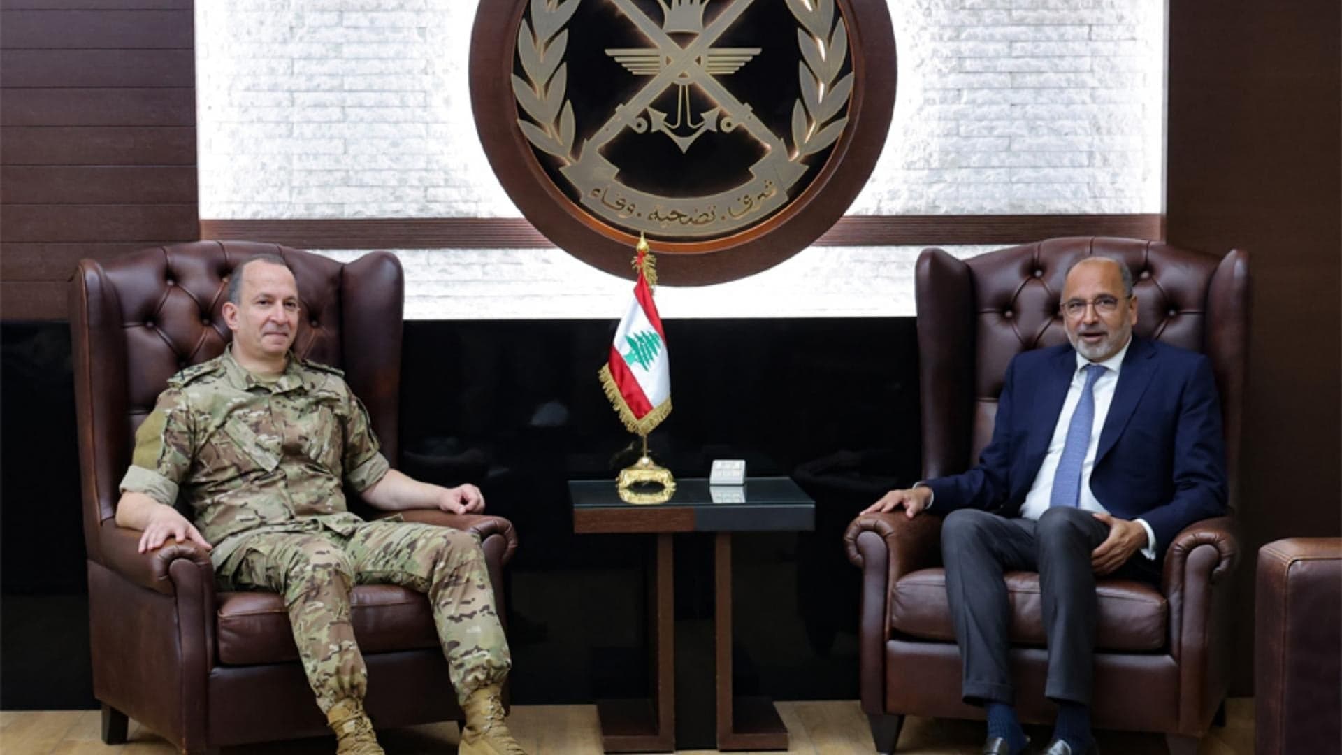هيكل وريزا يناقشان دعم الإنسانية في جنوب لبنان