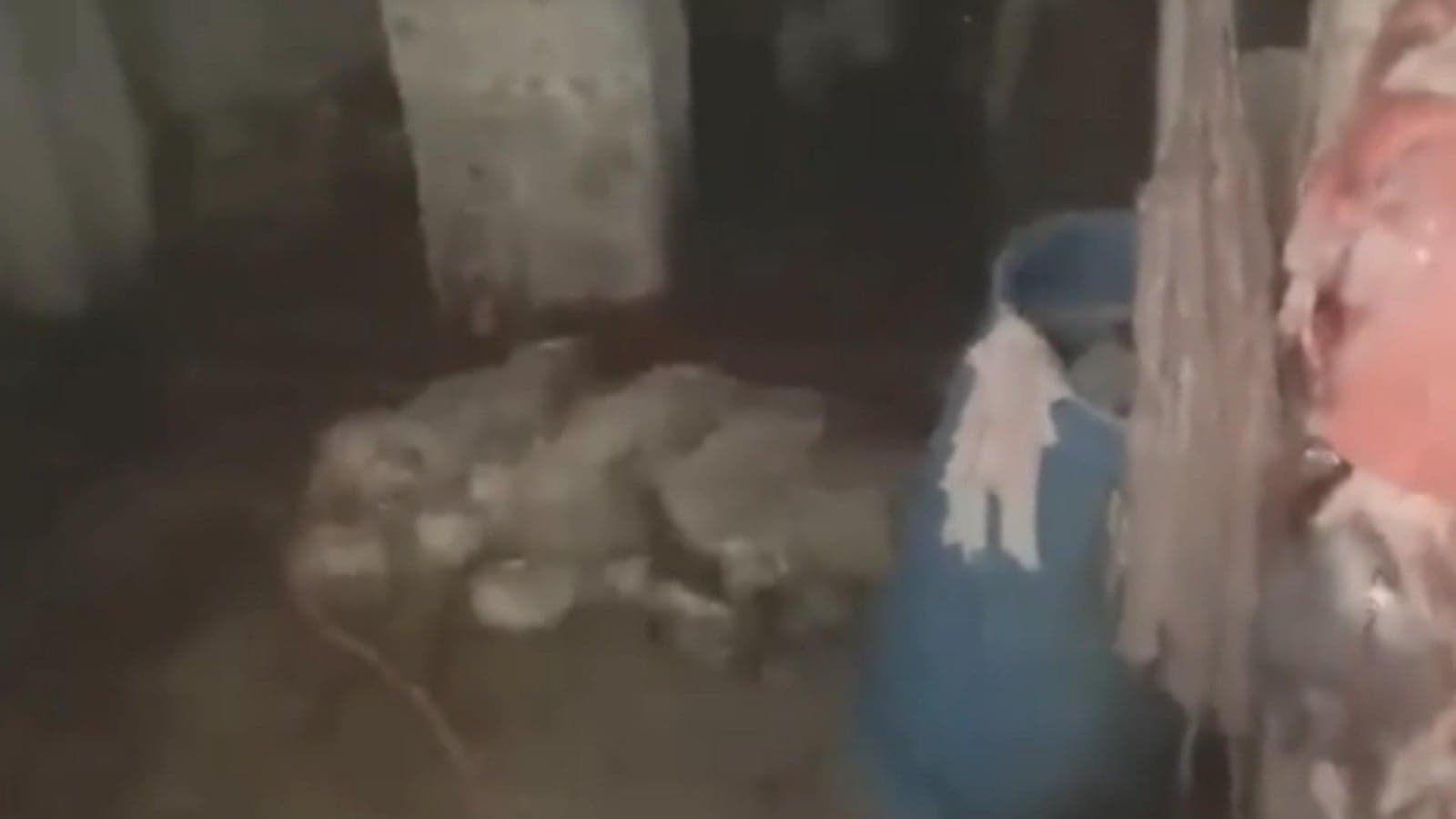 Inside slaughterhouse footage