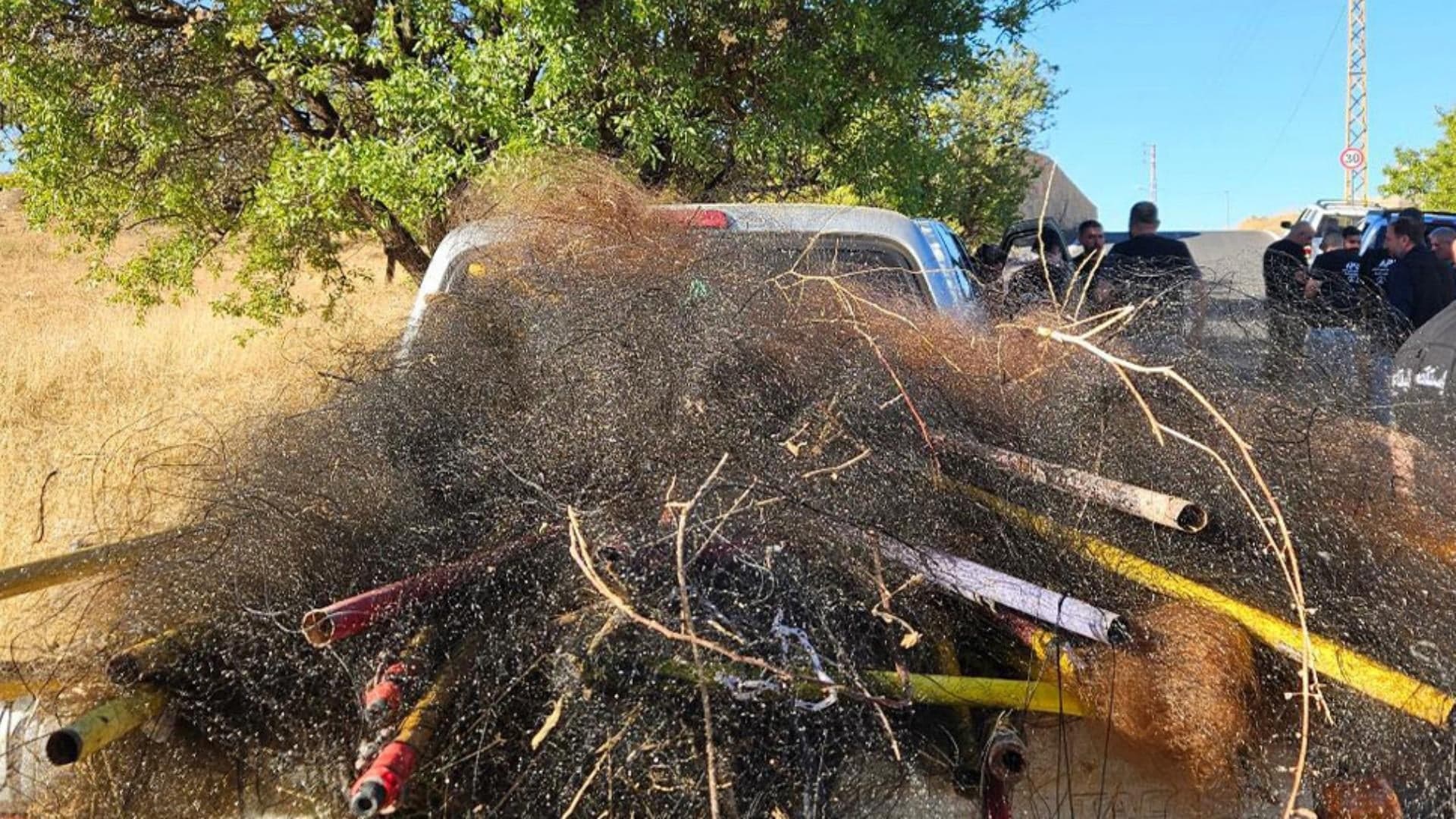 Security forces dismantle bird extermination network