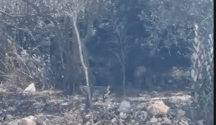 Israeli drone entangled in Lebanese fishing net