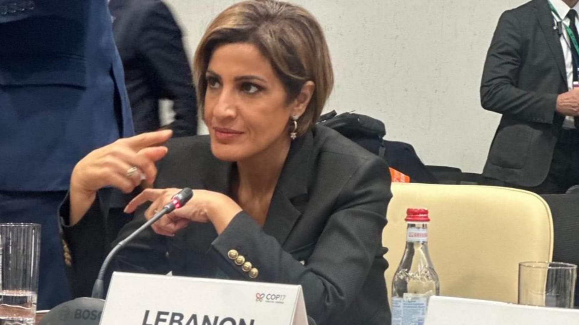 Environment Minister urges global emergency fund for Lebanon