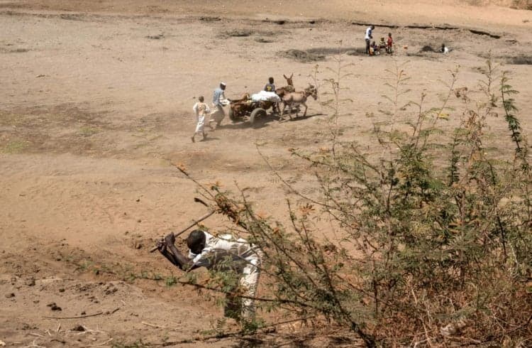 Cholera and hunger endangering many