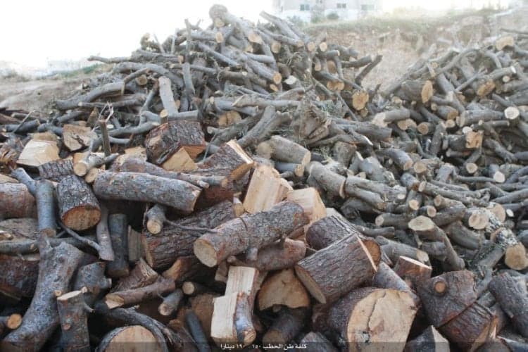 Forest ranger involved with wood traders