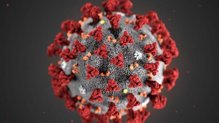 COVID-19 causes lasting memory loss