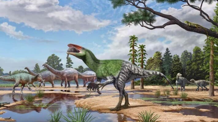 Ancient fossil uncovers new predatory dinosaur