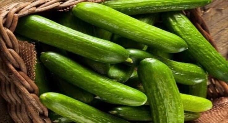 فوائد تناول الخيار يوميًا