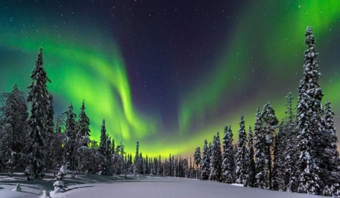 Layy Land: Snow and Aurora Experience