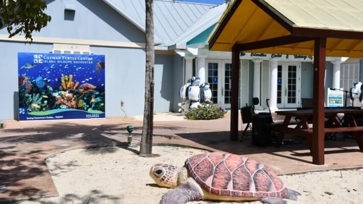 Cayman Islands: Tax-Free Vacation