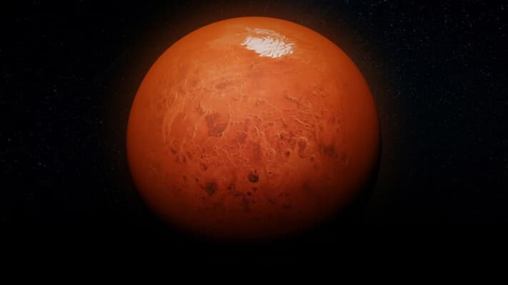 Remarkable Find on Mars
