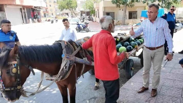 Horse in Turkey Finds Happy Ending