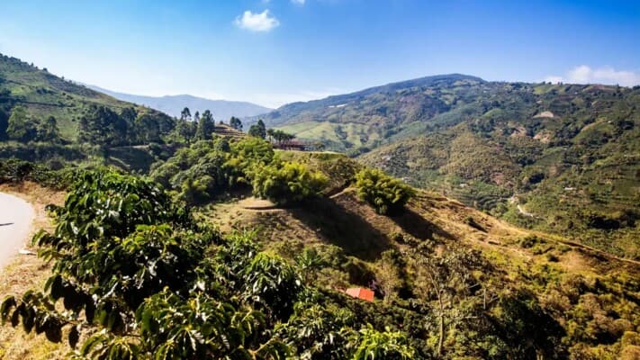 أفضل 5 وجهات لعشاق القهوة والخريف