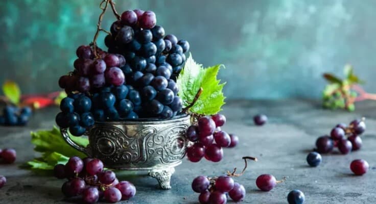 Health Benefits of Black Grapes