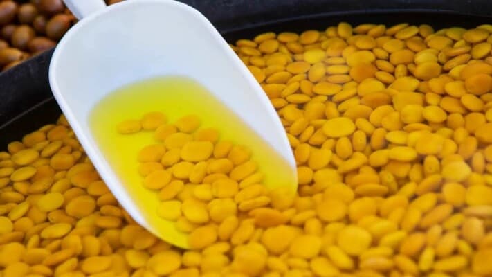 Poisoning at wedding injures 20, lupine beans suspected